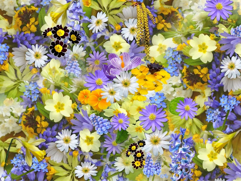 Floral Photography